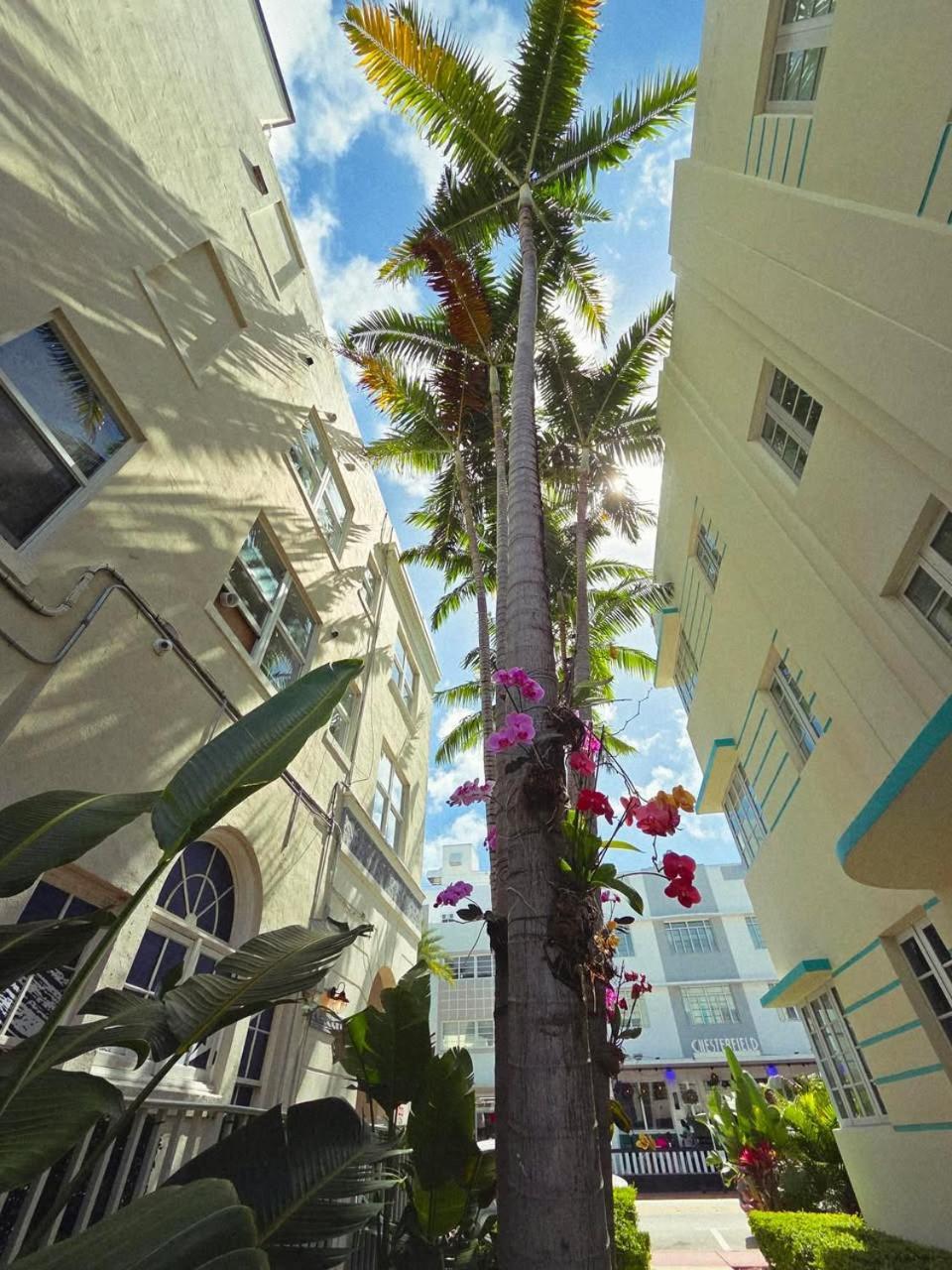 Luxuri Suites Miami Beach Dış mekan fotoğraf
